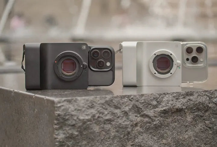 Black and silver Caira side by side on a stone ledge