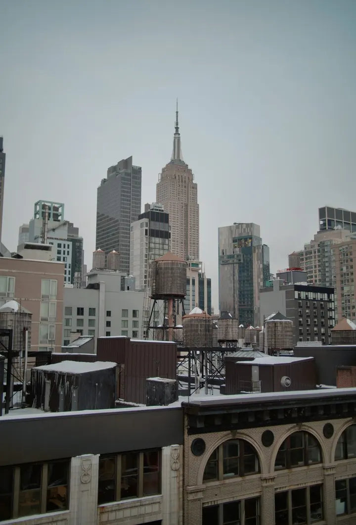 LUMIX G 20/F1.7 II · 19mm · ISO 400 · 1/366s · f/1.8 Cities photograph in New York, USA, captured with Caira