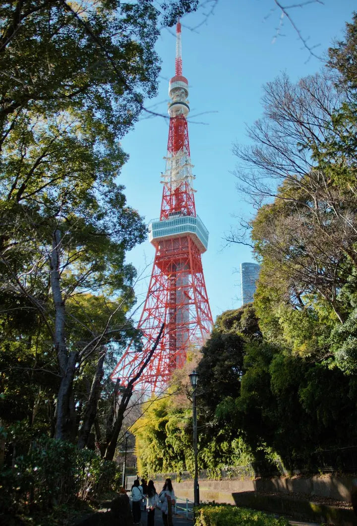 OLYMPUS M.17mm F1.2 · 17mm · ISO 400 · 1/6210s · f/1.3 Travel photograph in Tokyo, Japan, captured with Caira