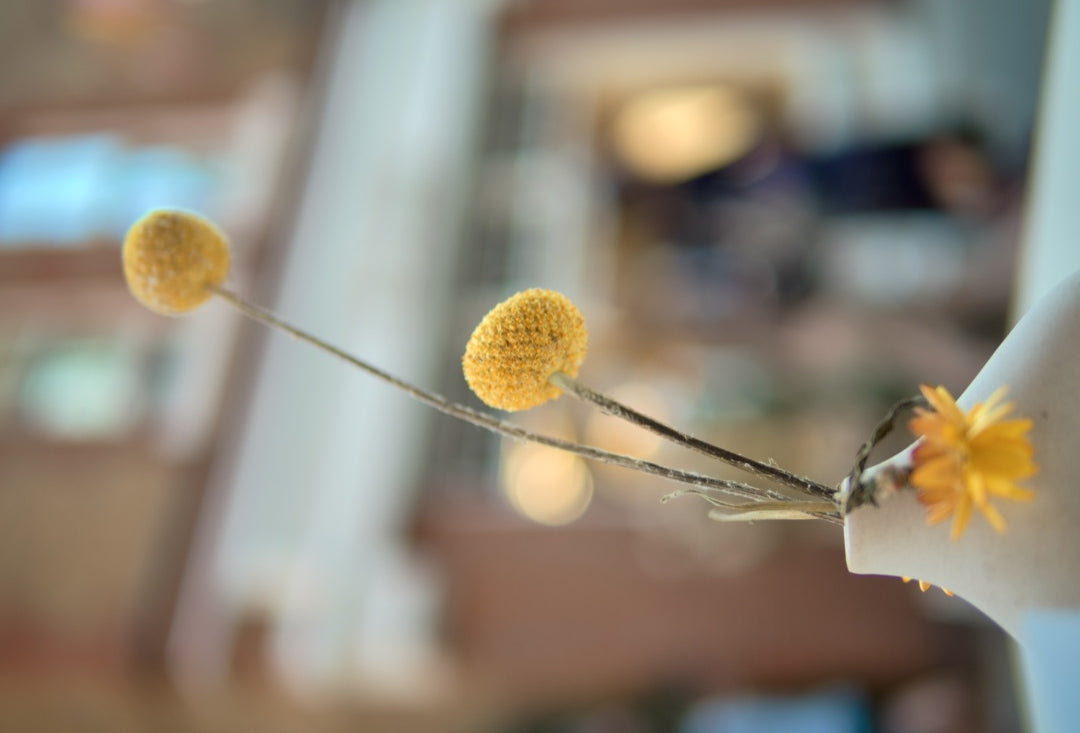 Yellow craspedia stems in a vase against street bokeh, 25mm f/1.4 — captured with Caira