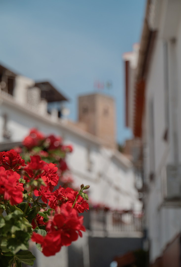 Red geraniums on a white village street with a stone tower behind, captured with Caira