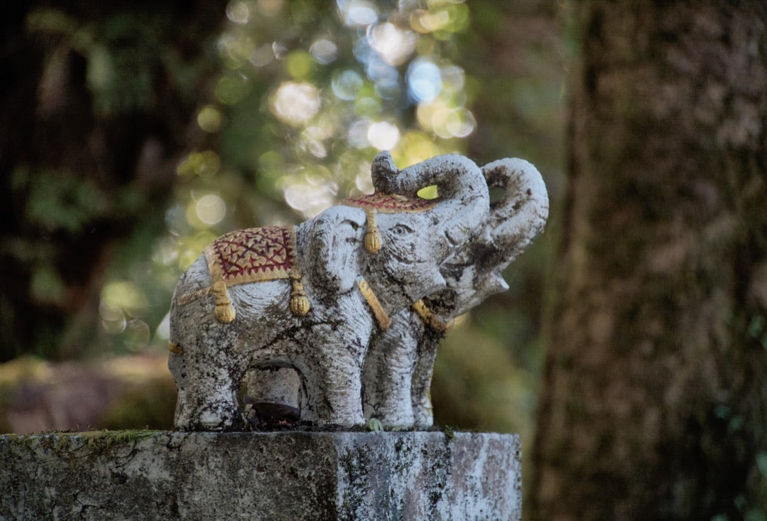 Stone elephant statue against soft forest bokeh