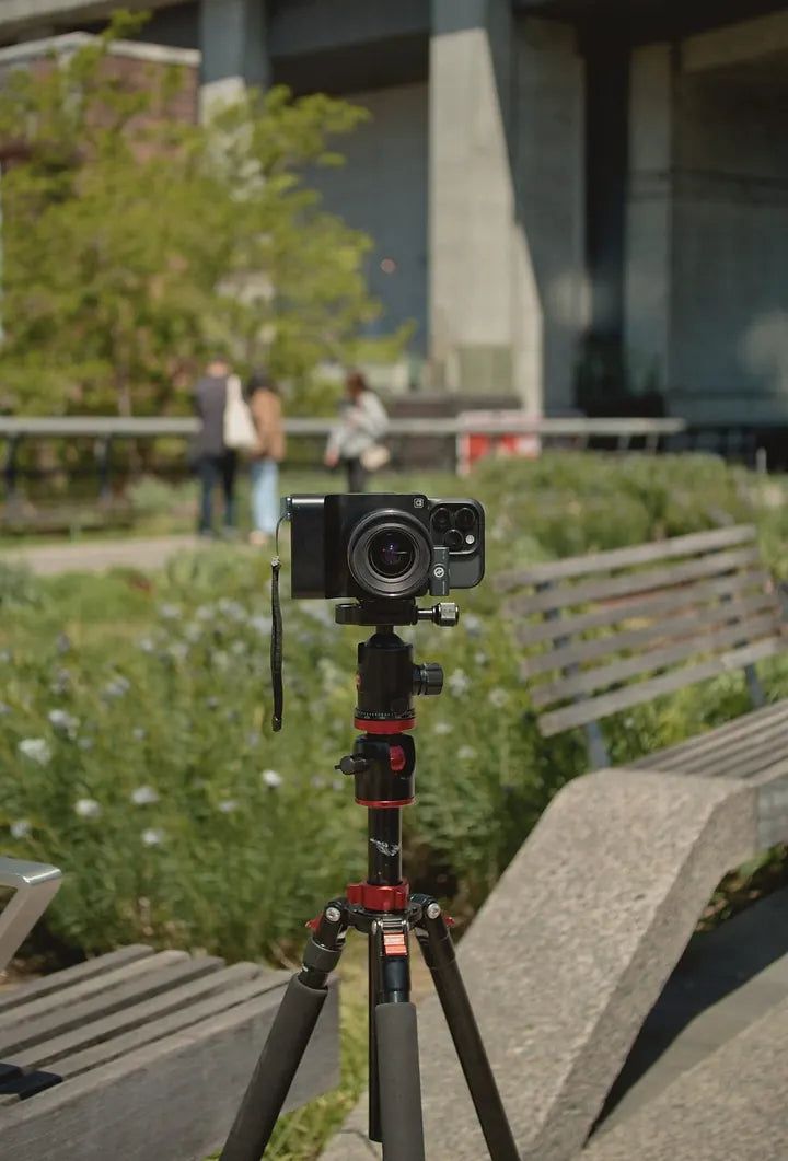 Self-timed group photo, Caira visible on its stand